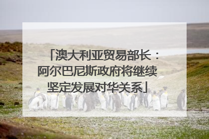 澳大利亚贸易部长：阿尔巴尼斯政府将继续坚定发展对华关系
