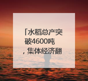 水稻总产突破4600吨，集体经济翻两番：永丰村的三年蜕变｜您牵挂的四川