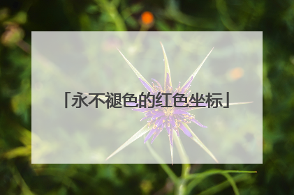 永不褪色的红色坐标