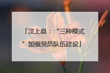汶上县：“三种模式”加强党员队伍建设
