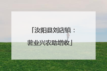 汝阳县刘店镇：薯业兴农助增收