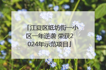 江夏区纸坊街一小区一年逆袭 荣获2024年示范项目