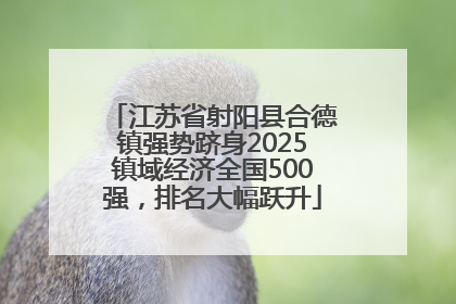 江苏省射阳县合德镇强势跻身2025镇域经济全国500强，排名大幅跃升