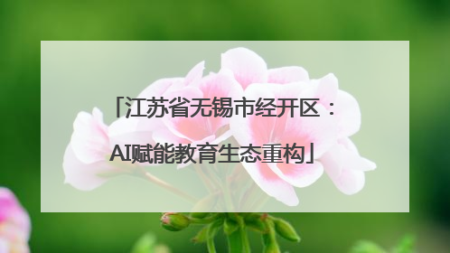 江苏省无锡市经开区：AI赋能教育生态重构