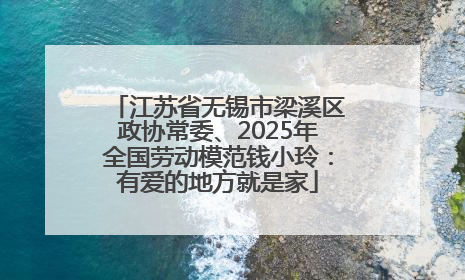 江苏省无锡市梁溪区政协常委、2025年全国劳动模范钱小玲：有爱的地方就是家