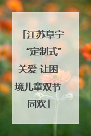 江苏阜宁“定制式”关爱 让困境儿童双节同欢