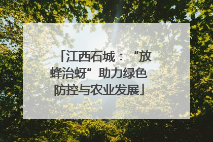 江西石城：“放蜂治蚜”助力绿色防控与农业发展