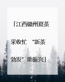 江西赣州夏茶采收忙 “新茶勃发”助振兴