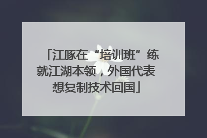 江豚在“培训班”练就江湖本领，外国代表想复制技术回国
