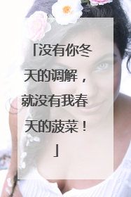 没有你冬天的调解，就没有我春天的菠菜！