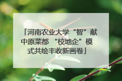 河南农业大学“智”献中原菜都 “校地企”模式共绘丰收新画卷