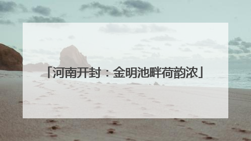 河南开封：金明池畔荷韵浓
