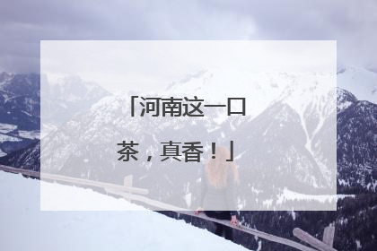 河南这一口茶，真香！