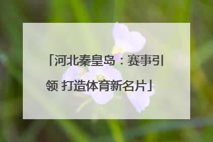 河北秦皇岛：赛事引领 打造体育新名片