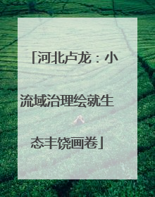 河北卢龙：小流域治理绘就生态丰饶画卷