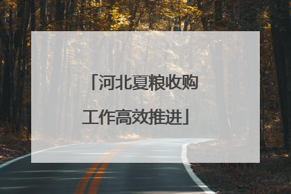 河北夏粮收购工作高效推进