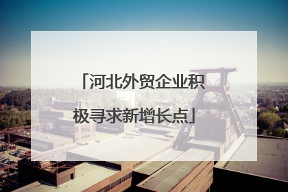 河北外贸企业积极寻求新增长点
