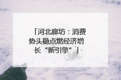 河北廊坊：消费势头稳点燃经济增长“新引擎”