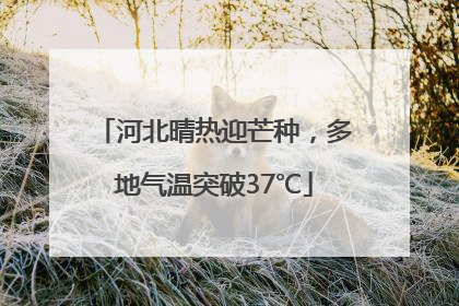 河北晴热迎芒种，多地气温突破37℃