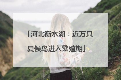 河北衡水湖：近万只夏候鸟进入繁殖期