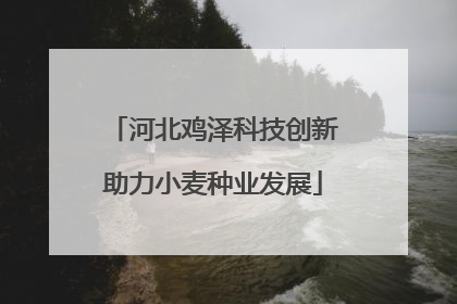 河北鸡泽科技创新助力小麦种业发展