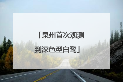 泉州首次观测到深色型白鹭