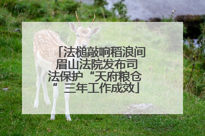 法槌敲响稻浪间 眉山法院发布司法保护“天府粮仓”三年工作成效