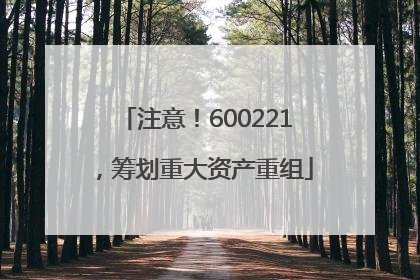 注意！600221，筹划重大资产重组