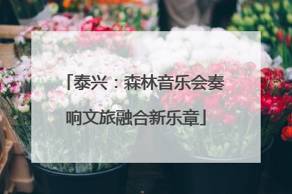 泰兴：森林音乐会奏响文旅融合新乐章