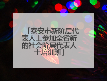 泰安市新阶层代表人士参加全省新的社会阶层代表人士培训班