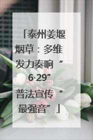 泰州姜堰烟草：多维发力奏响“6·29”普法宣传“最强音”