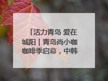 活力青岛 爱在城阳｜青岛尚小咖咖啡季启幕，中韩消费新场景点燃夏日热情