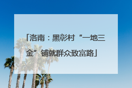 洛南：黑彰村“一地三金”铺就群众致富路