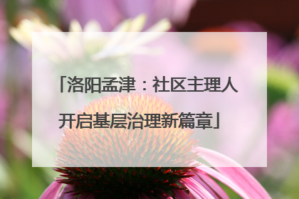 洛阳孟津：社区主理人开启基层治理新篇章
