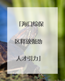 海口综保区释放强劲人才引力