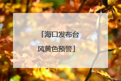 海口发布台风黄色预警