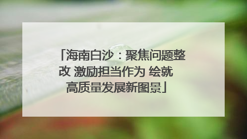 海南白沙：聚焦问题整改 激励担当作为 绘就高质量发展新图景