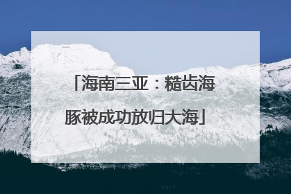 海南三亚：糙齿海豚被成功放归大海