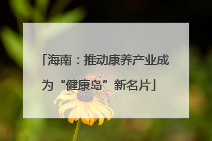 海南：推动康养产业成为“健康岛”新名片