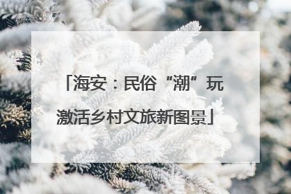 海安：民俗“潮”玩激活乡村文旅新图景