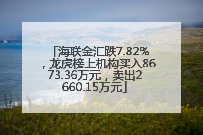 海联金汇跌7.82%，龙虎榜上机构买入8673.36万元，卖出2660.15万元