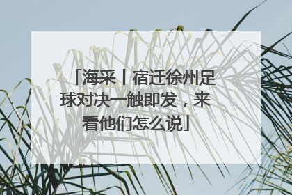 海采丨宿迁徐州足球对决一触即发，来看他们怎么说