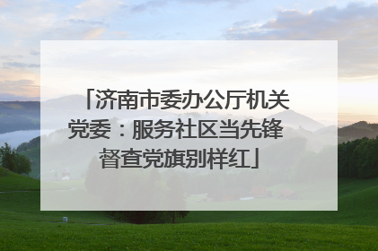 济南市委办公厅机关党委：服务社区当先锋 督查党旗别样红