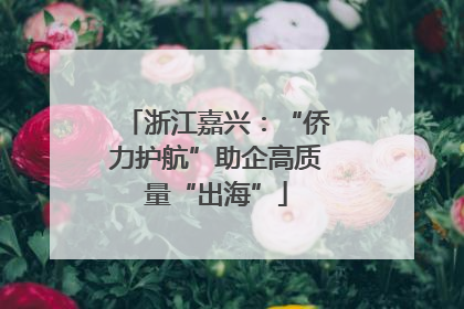 浙江嘉兴：“侨力护航”助企高质量“出海”
