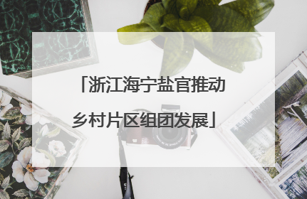 浙江海宁盐官推动乡村片区组团发展