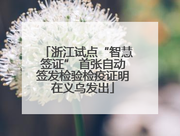 浙江试点“智慧签证” 首张自动签发检验检疫证明在义乌发出