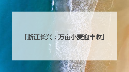 浙江长兴：万亩小麦迎丰收