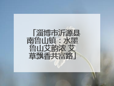 淄博市沂源县南鲁山镇：水墨鲁山艾韵浓 艾草飘香共富路