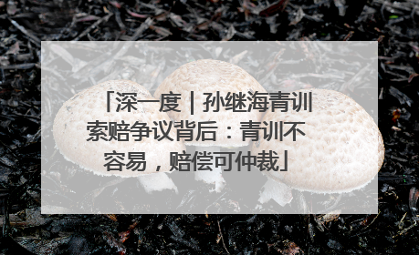深一度｜孙继海青训索赔争议背后：青训不容易，赔偿可仲裁
