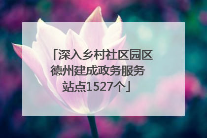 深入乡村社区园区 德州建成政务服务站点1527个